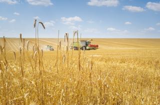 Are you taking advantage of Farmers’ Averaging tax relief?