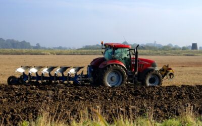 What should I be doing with my assets?