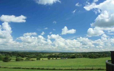 How much is at stake if we lose APR?