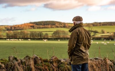 How to ensure maximum tax relief on your farm expenditure