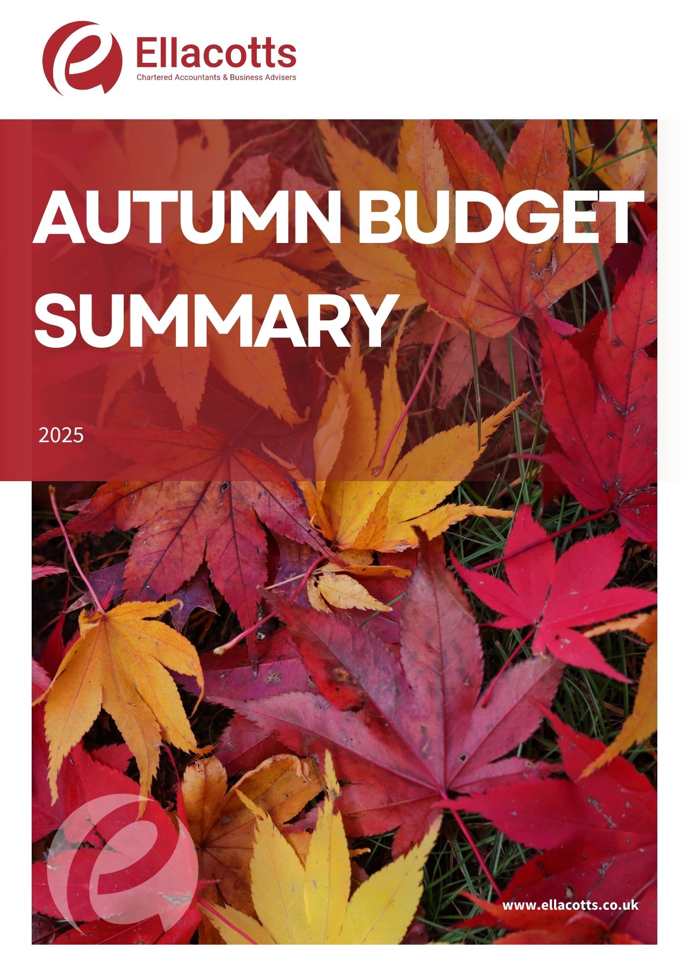 AUTUMN BUDGET 2025 (1)